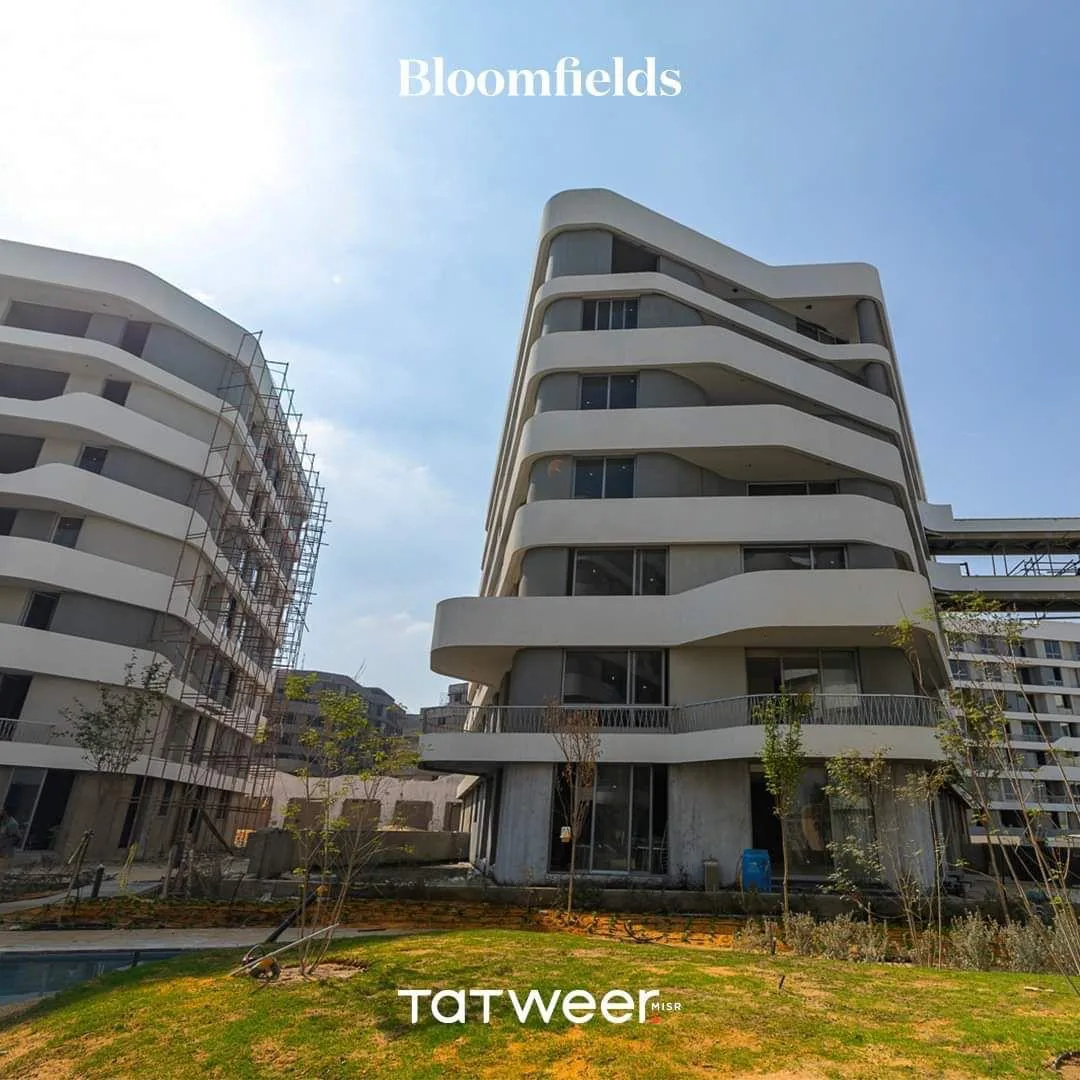 واجهات Bloomfields